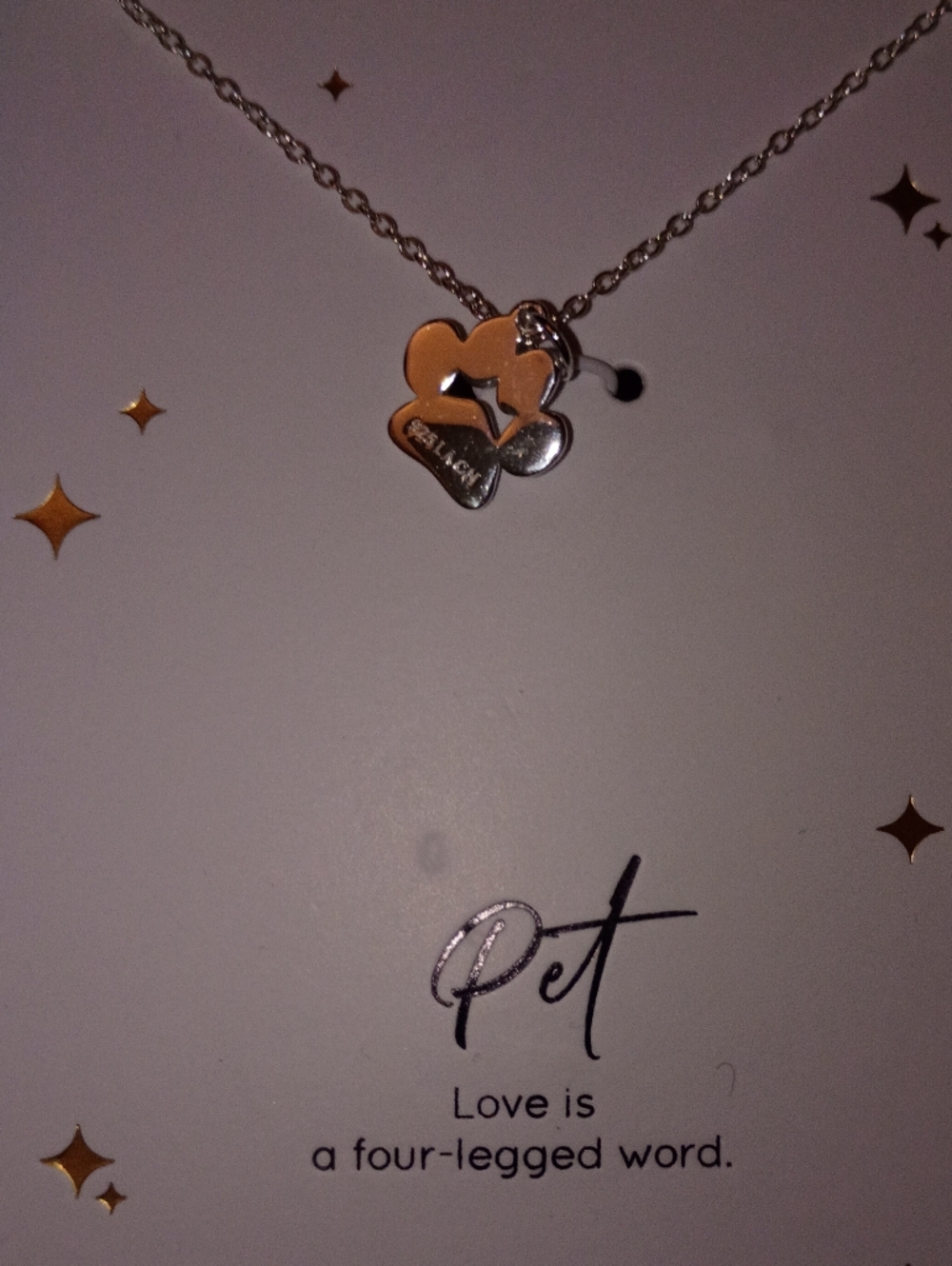 Pet Lover Paw Pendant Necklace - Silver